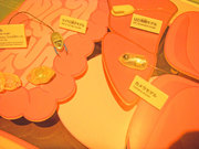 2010.6.27体内.jpg