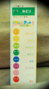 2010.7.10あり実験セット.jpg